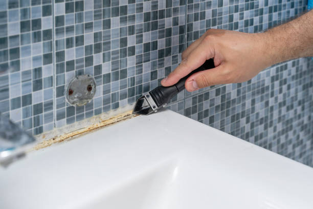 Best Professional Mold Removal  in Viroqua, WI