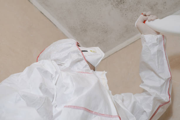 Best Mold Removal and Inspection  in Viroqua, WI